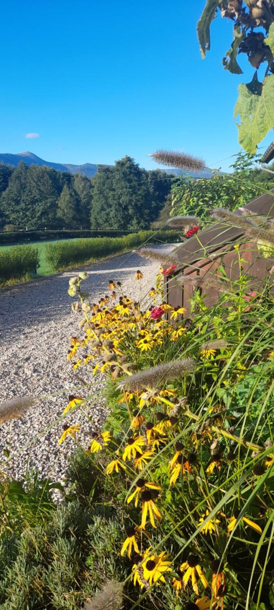 Wysokie Laki Domki W Gorach Kowary Exteriér fotografie