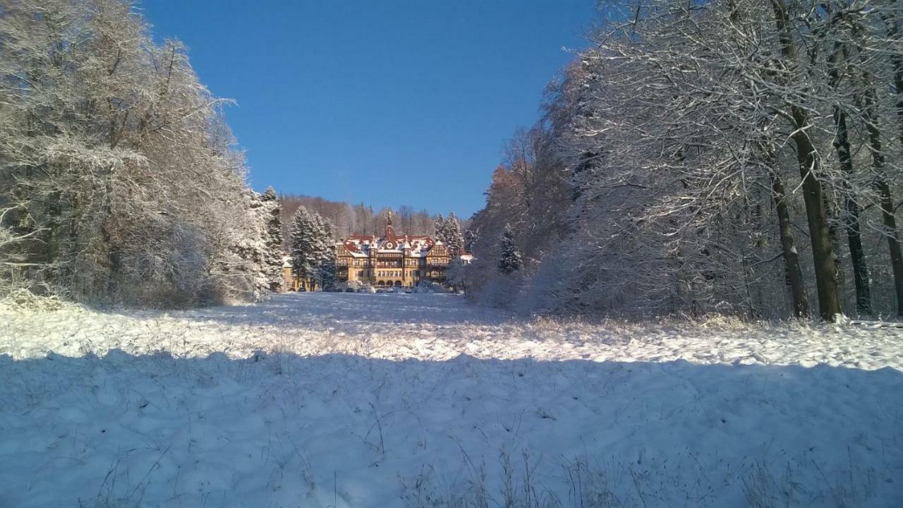 Wysokie Laki Domki W Gorach Kowary Exteriér fotografie